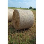 Сеновязальная сетка Growtex Net 1,23м х 3000м, Украина
